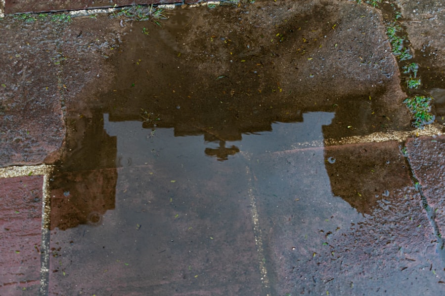 Photo clogging drains