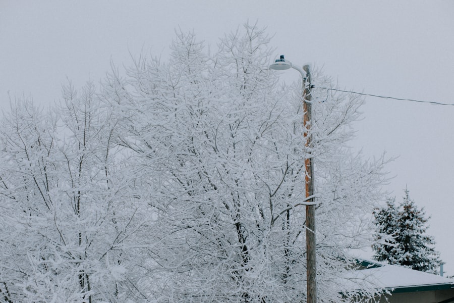 Photo pipes, Canadian winter
