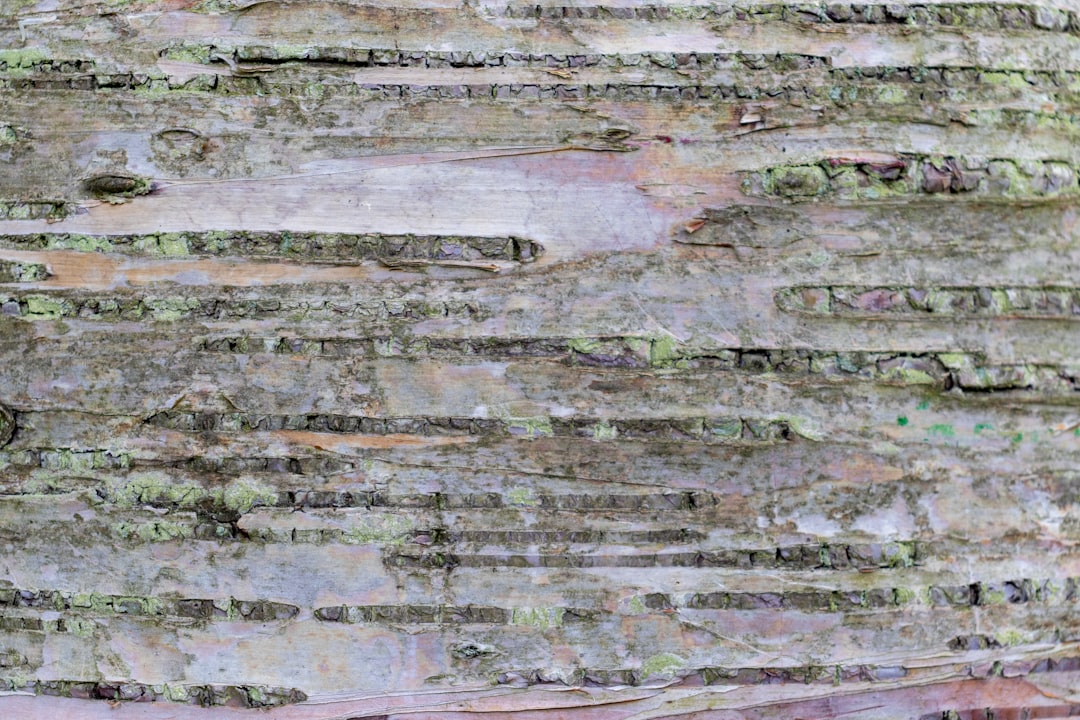 How to identify seepage